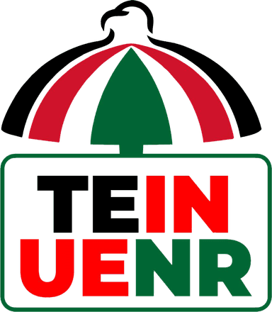 TEIN UENR logo
